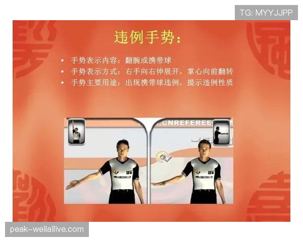 持球五秒违例是怎么回事?关键在站定裁判如何判定 持球五秒违例是怎么回事?关键在站定裁判如何判定