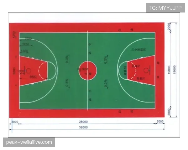 篮球比赛中合理冲撞区规则的深度解析与适用场景