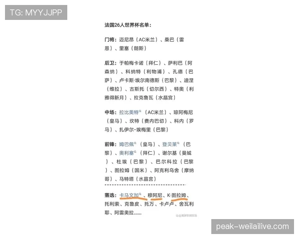 世界杯豪门球队大名单热门人选盘点 世界杯豪门球队大名单热门人选盘点